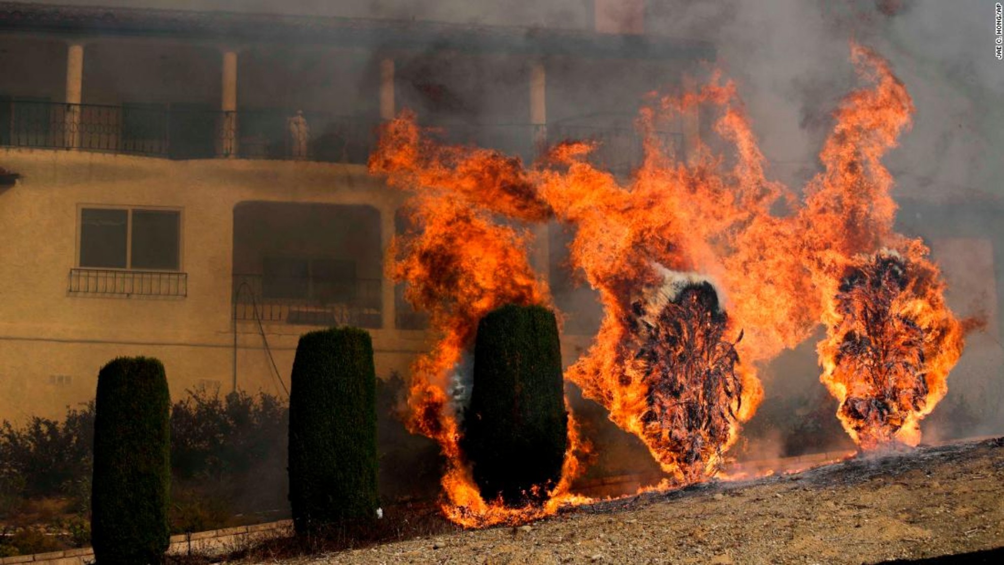 undefined - Ảnh 14.