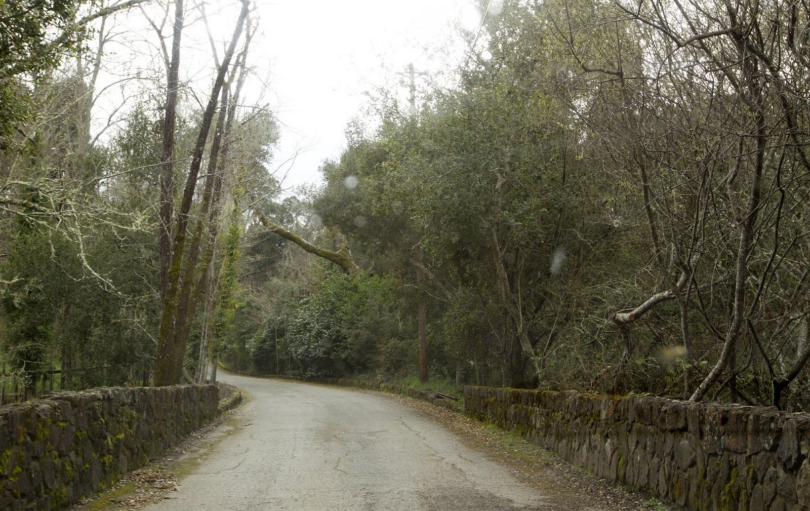 undefined - Ảnh 1.