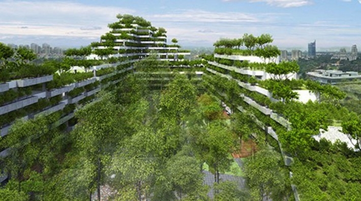 undefined - Ảnh 3.