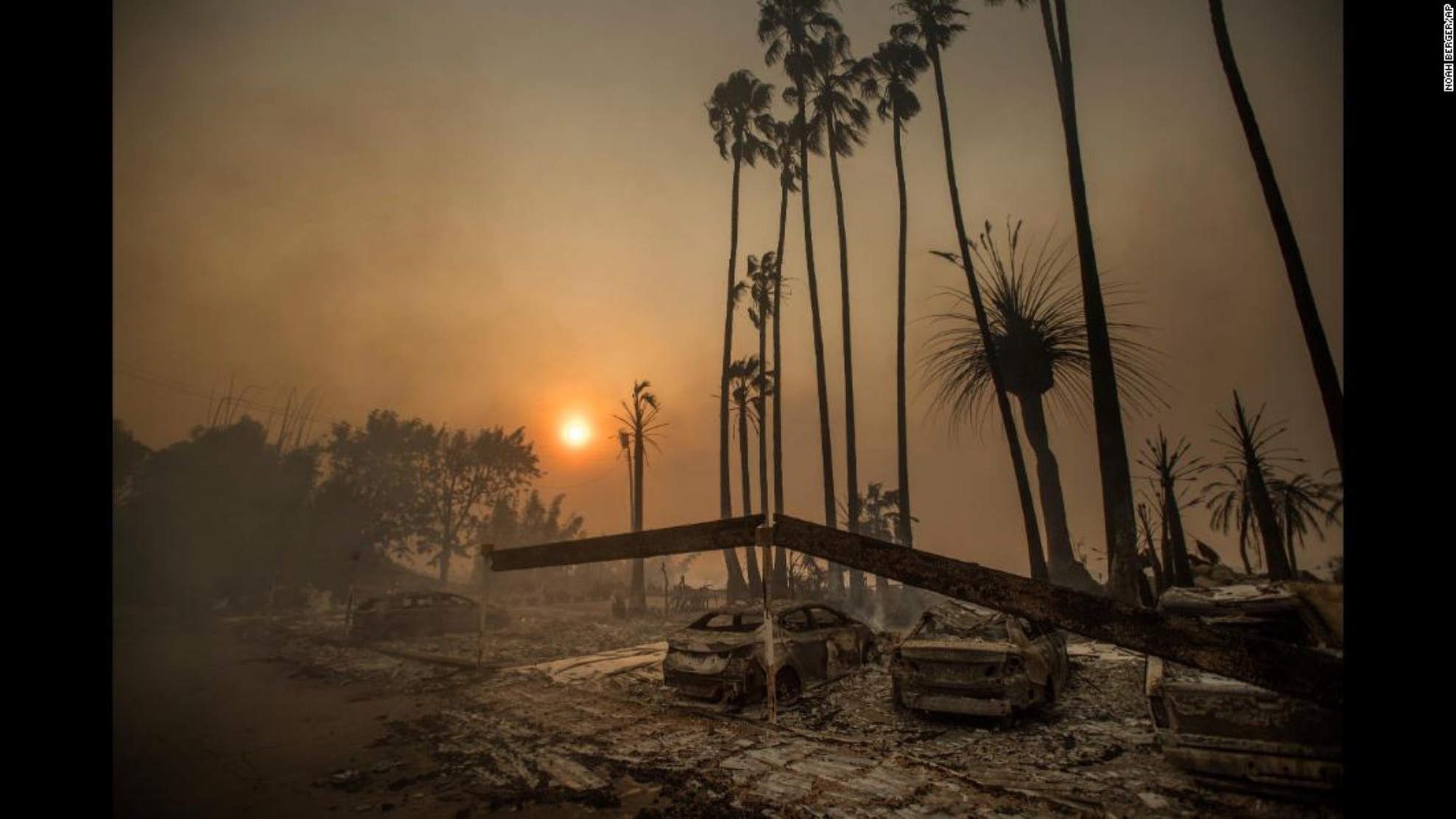 undefined - Ảnh 9.