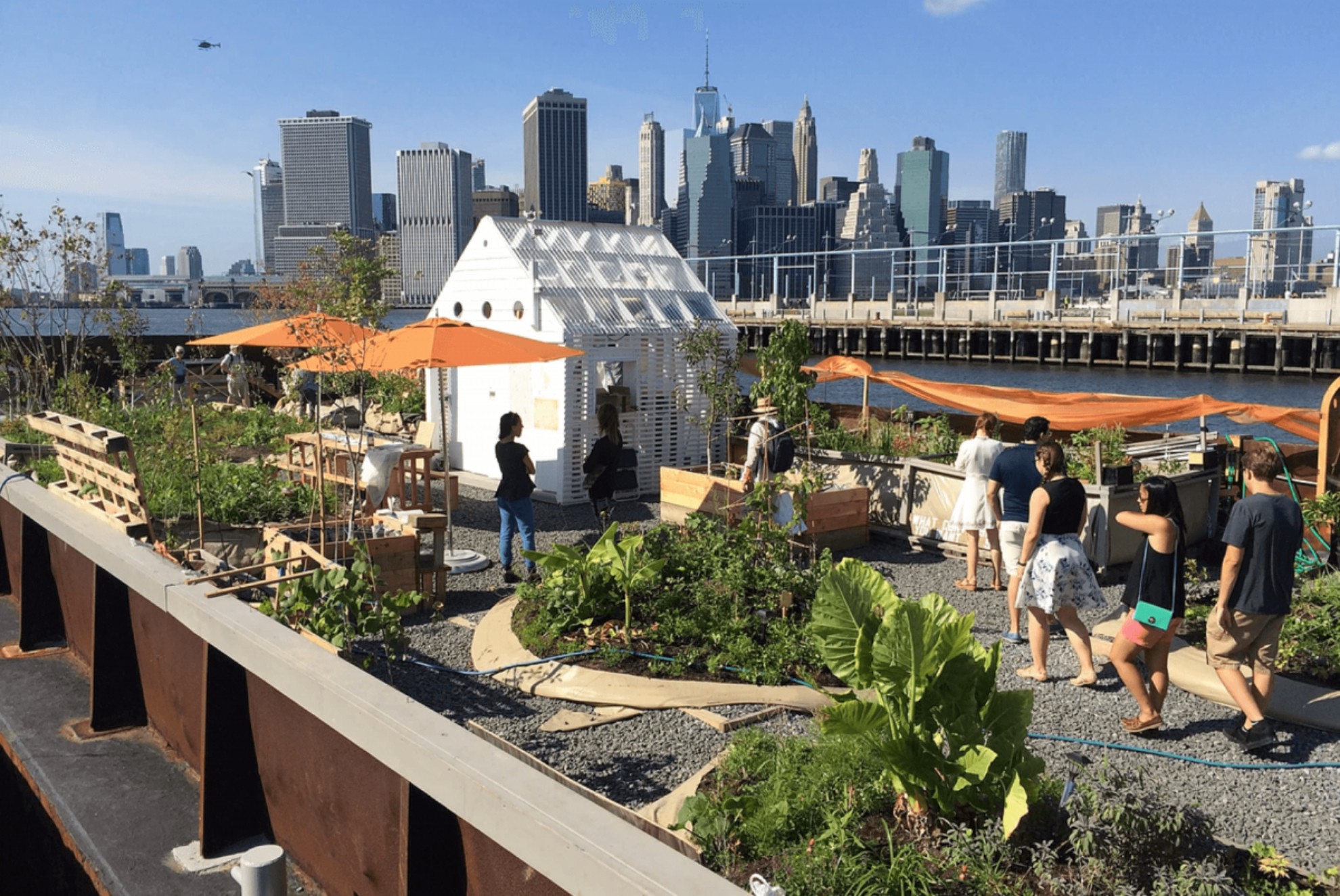 undefined - Ảnh 9.