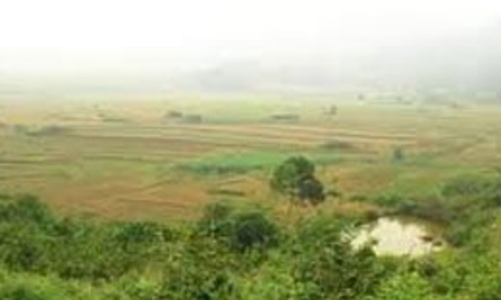 Bộ Xây dựng nêu giải pháp hạ 