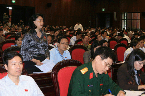 Bà Đặng Thị Hoàng Yến tại nghị trường.