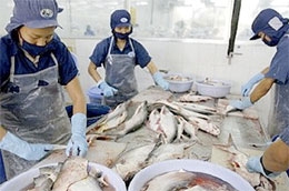 Từ ngày 18/3 - 18/5/2010, Công ty Cổ phần Xuất nhập khẩu Thủy sản Bến Tre, cổ đông lớn của Công ty Cổ phần Thực phẩm Sao Ta (mã FMC) đăng ký mua 700.000 cổ phiếu, đăng ký bán 500.000 cổ phiếu, số cổ phiếu sẽ nắm giữ còn 840.000 cổ phiếu.