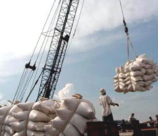 Xuất khẩu gạo luôn là vấn đề được dư luận quan tâm.