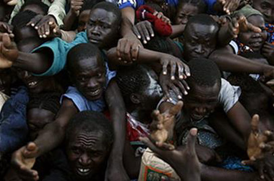 Nguy cơ khủng hoảng lương thực toàn cầu vẫn hiện hữu.