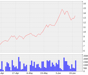 Biểu đồ diễn biến giá cổ phiếu ICF từ tháng 4/2009 đến nay - Nguồn: VNDS.