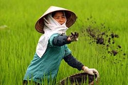 Với kịch bản cơ bản, phân tích mô hình kinh tế lượng vĩ mô, CIEM cho rằng GDP năm 2010 có thể tăng ở mức 6,54%; lạm phát trung bình năm tăng 8,54%; xuất khẩu tăng trưởng 18,5%.