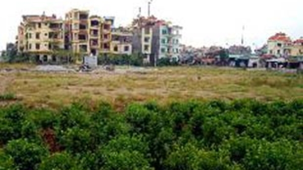 Nhiều tập đoàn, tổng công ty sử dụng đất lãng phí, sai mục đích