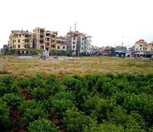 Nhiều doanh nghiệp còn sai phạm trong sử dụng đất - Ảnh minh họa.