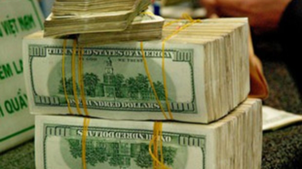 Ứng xử như thế nào với biến động tỷ giá năm 2009?