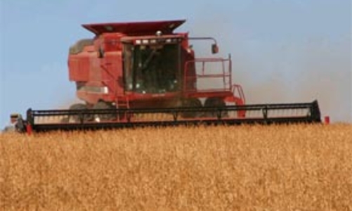 Đàm phán Doha: Bất đồng chưa thể giải quyết