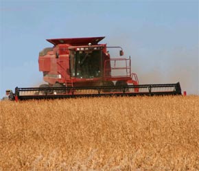 Năm 2006, Mỹ đã chi khoảng 10,8 tỷ USD để trợ giá nông sản.