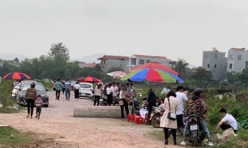 Cò thổi giá đất gây sốt ảo, Bắc Giang yêu cầu kiểm tra xử nghiêm
