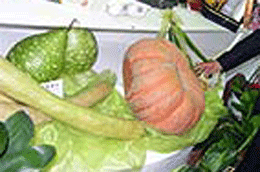 Cần ghi nhãn cho thực phẩm biến đối gen