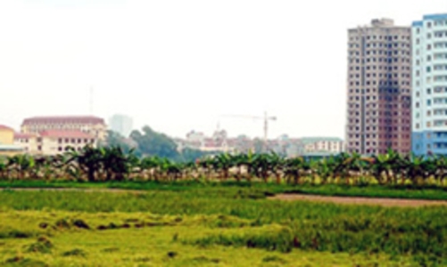 Hà Nội tiếp tục đấu giá 43 thửa đất tại Hà Đông