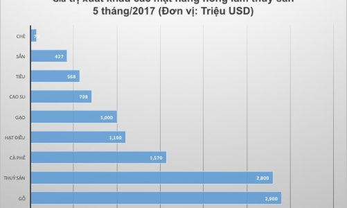 Việt Nam chi hơn 11 tỷ USD nhập khẩu nông lâm thuỷ sản