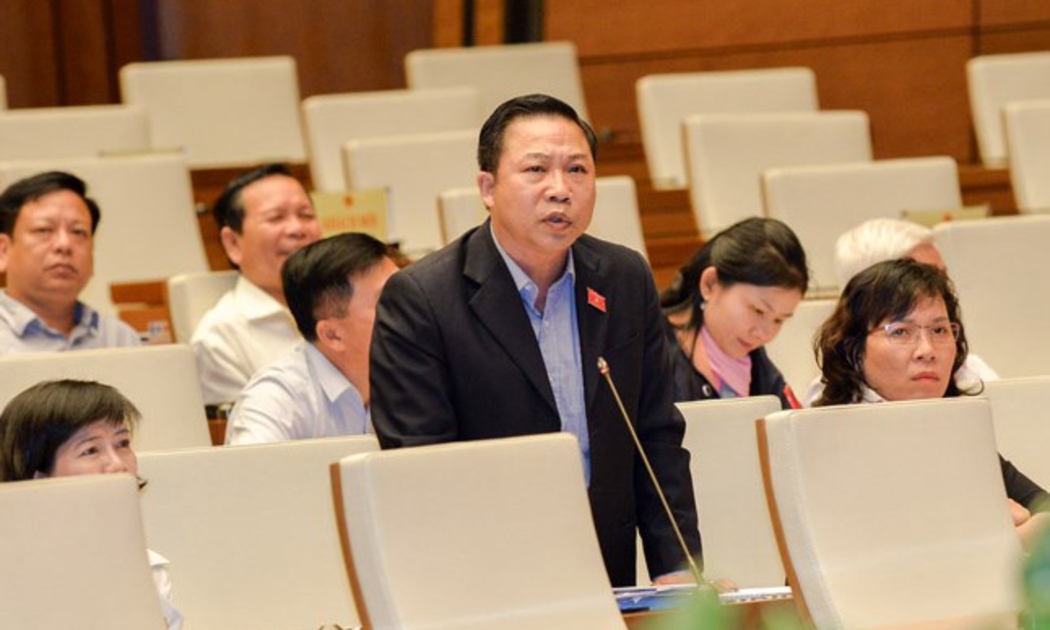 Đại biểu Lưu Bình Nhưỡng tại nghị trường.