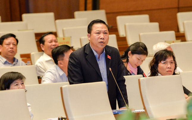 Đại biểu Lưu Bình Nhưỡng tại nghị trường.