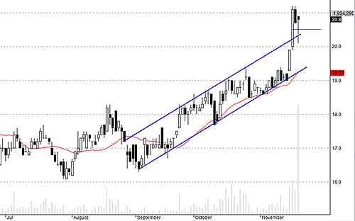 HCM có phiên trao đổi kỳ vọng kỷ lục hôm nay.