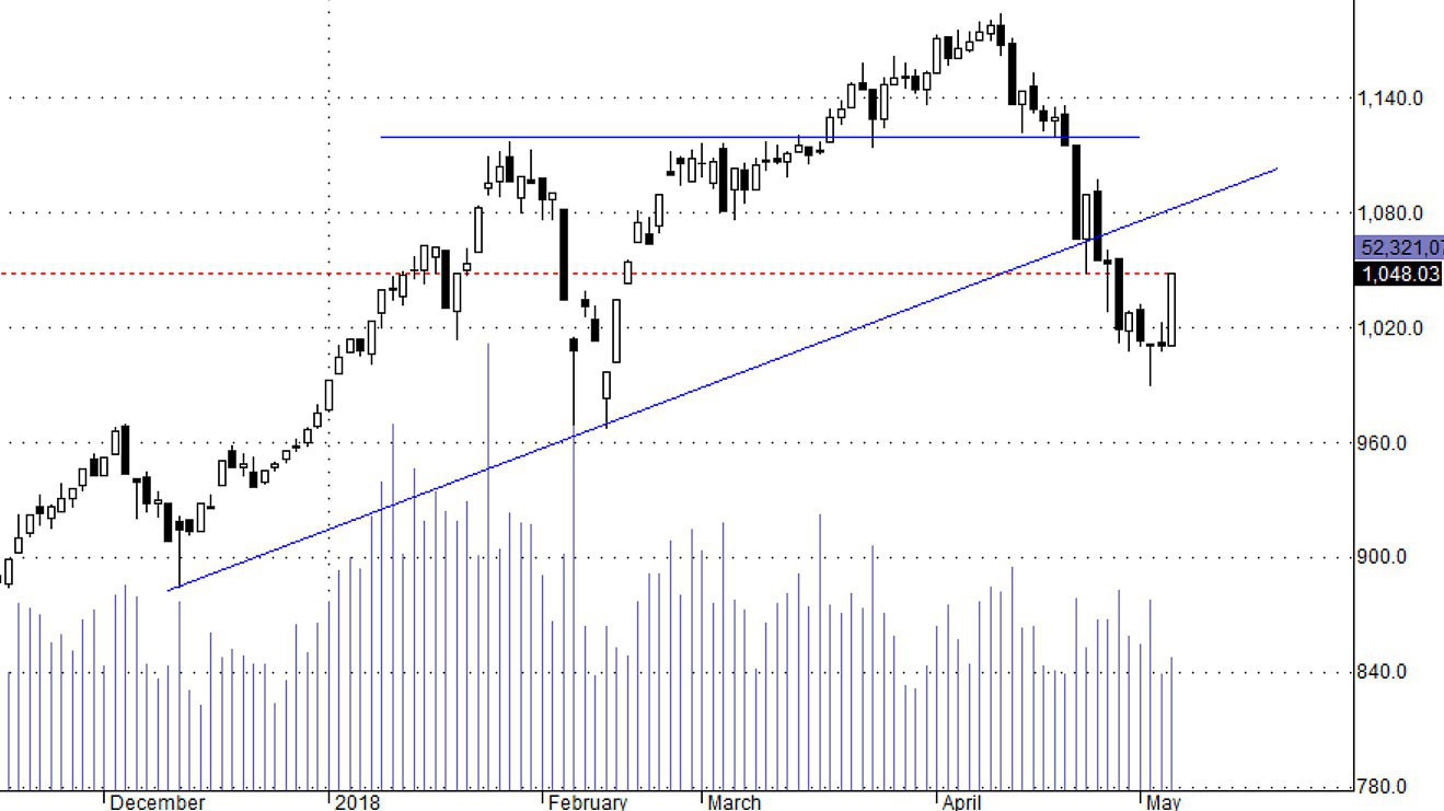 Thị trường đang trong nhịp nảy ngắn hạn.