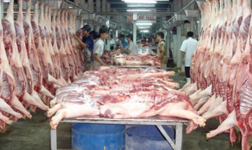Nhập khẩu thịt lợn và sự bất đồng của cơ quan quản lý