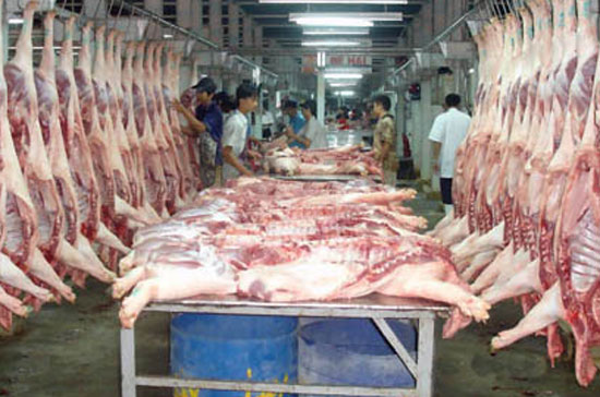 Giá thành giết mổ lợn đang rất cao.
