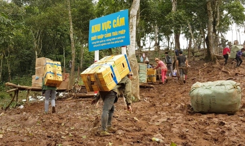 Buôn lậu diễn ra trên mọi tuyến