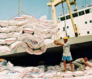 Chuẩn bị xuất gạo từ Cảng Sài Gòn.