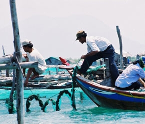 Trong 9 tháng qua, An Giang đã xuất khẩu được lượng thủy sản trị giá 245 triệu USD.