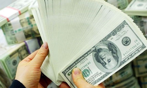 Chính phủ quyết định cung ngoại tệ, hạ nhiệt tỷ giá