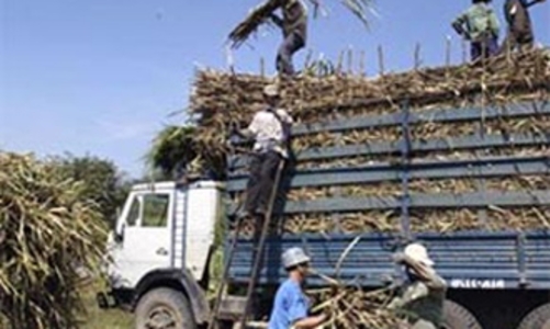 “Mỗi ngày thất thu 500 triệu đồng tiền thuế vì đường lậu”