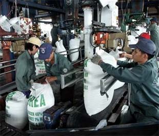 Sản xuất tại Nhà máy Đạm Phú Mỹ - Ảnh: TT.