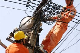 Qua thanh tra đã phát hiện EVN sử dụng gần 757 tỷ đồng thu được từ cổ phần hóa để chi tạm ứng cho các dự án đầu tư mà chưa báo cáo Thủ tướng, thực hiện cổ phần hóa chậm.