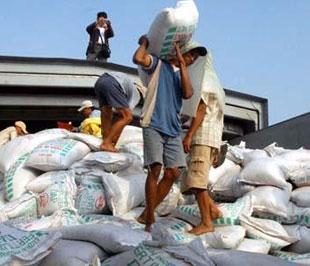 Hiện Việt Nam nhập khẩu khoảng 90% nhu cầu về urê, 70% DAP để đáp ứng nhu cầu sản xuất trong nước. Các loại phân bón khác như SA, kali... còn phải nhập khẩu hoàn toàn.