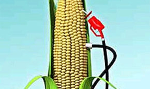 Nguội dần cơn sốt năng lượng ethanol