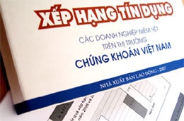 Song hành với hoạt động tín dụng là hoạt động cung cấp thông tin tín dụng.