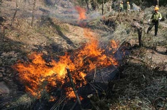 Tính đến trưa 5/3, đang có khoảng 136 điểm cháy rừng ở 7 tỉnh - Ảnh Chinhphu.vn.