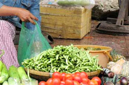 Trong tháng vừa rồi, giá nhiều mặt hàng thiết yếu đến đời sống người dân đã giảm khá mạnh.