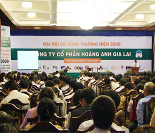 HAGL đã đặt mục tiêu kinh doanh năm 2009 với doanh thu ước đạt 3.129 tỷ đồng; lợi nhuận trước thuế đạt 1.150 tỷ đồng và lợi nhuận sau thuế đạt 863 tỷ đồng.