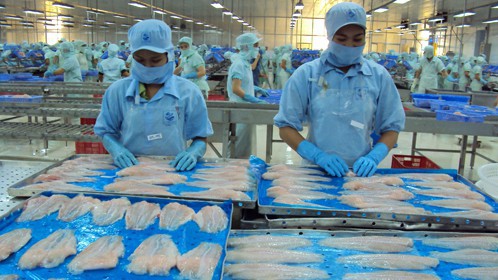 Cổ phiếu ACL đang tăng phi mã.