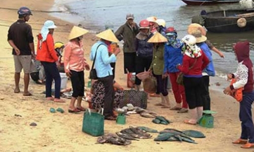 Chính phủ yêu cầu cấm thu mua, tiêu thụ cá chết