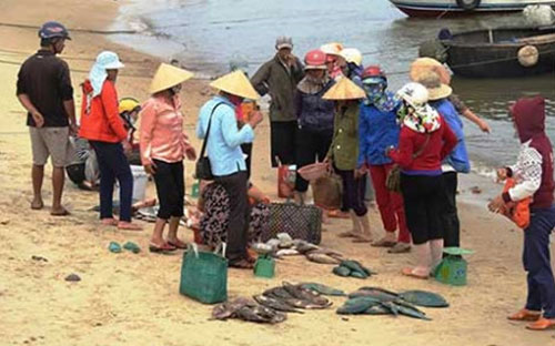 Có hiện tượng thu mua, kinh doanh cá chết tại các tỉnh ven biển miền Trung mấy ngày qua - Ảnh minh hoạ.<br>