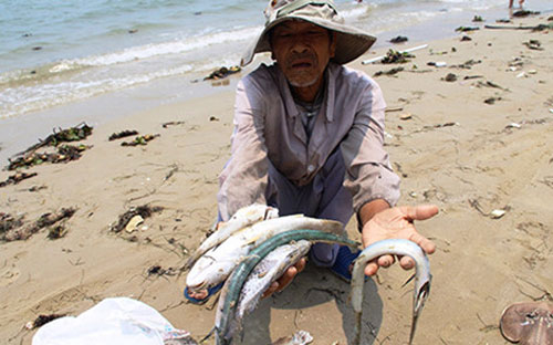 Thủ tướng nhấn mạnh không được để dân thiếu đói do phải ngừng đánh bắt hải sản.