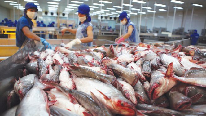 Hoa Kỳ sắp thanh tra chương trình kiểm soát cá da trơn Việt Nam.