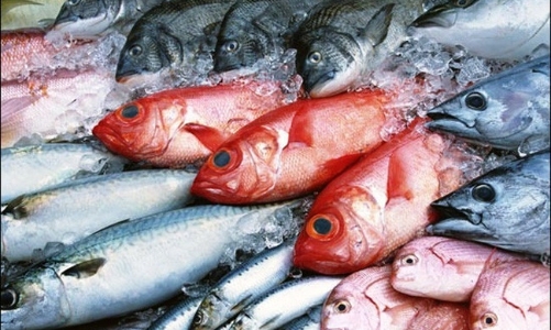 Hậu Formosa, vẫn còn khoảng 5000 tấn hải sản tồn kho chờ tiêu thụ