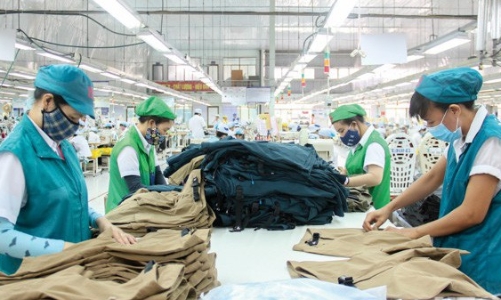 Cả nước có hơn 505 nghìn doanh nghiệp đang hoạt động