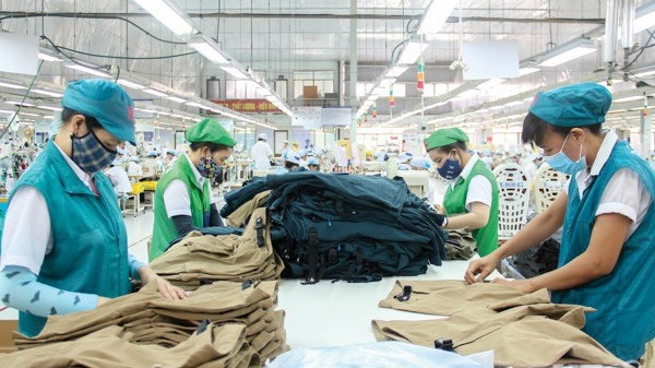 Đến cuối 2016, có 1,31 triệu lao động làm việc trong doanh nghiệp Nhà nước, chiếm 9,3% lao động toàn doanh nghiệp.