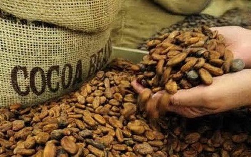 Ấn Độ đã ngừng nhập một số nông sản của Việt Nam.