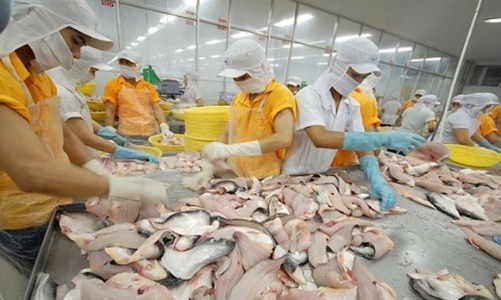 “Cơn bão” áp thuế của Mỹ nối dài khó khăn của doanh nghiệp cá tra Việt